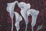Purple Calla